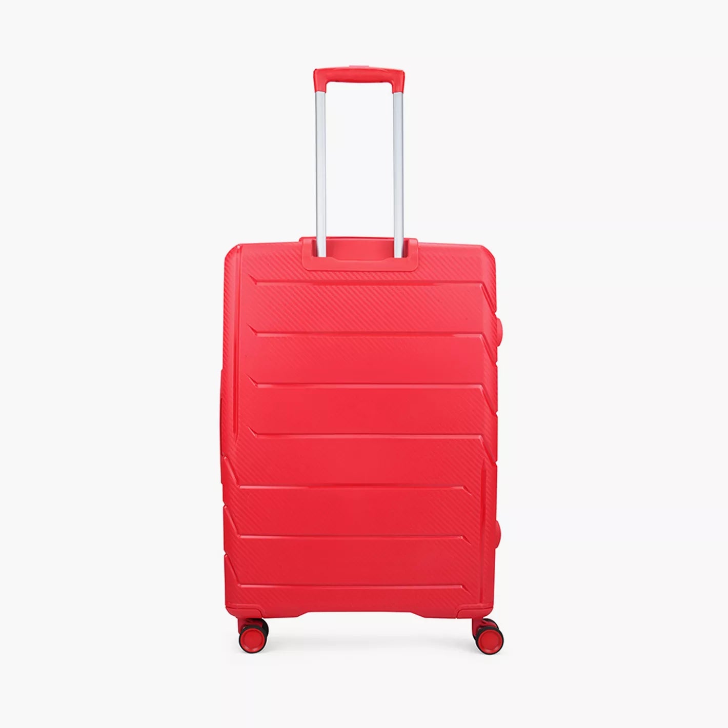 Carlton Chroma Active Hard Side Luggage | Trolley Bags | Halabh.com