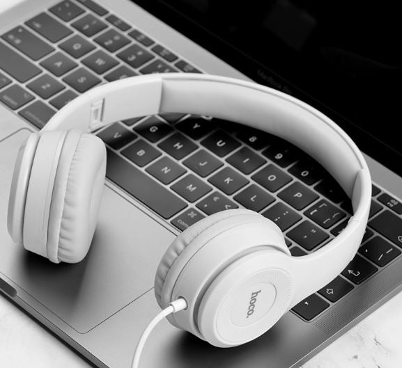 W21 Graceful Charm Wired Headset With Mic