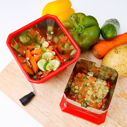 Delcasa Stainless Steel Chilly Cutter 14 Blade | Best Kitchen Accessories in Bahrain | Halabh