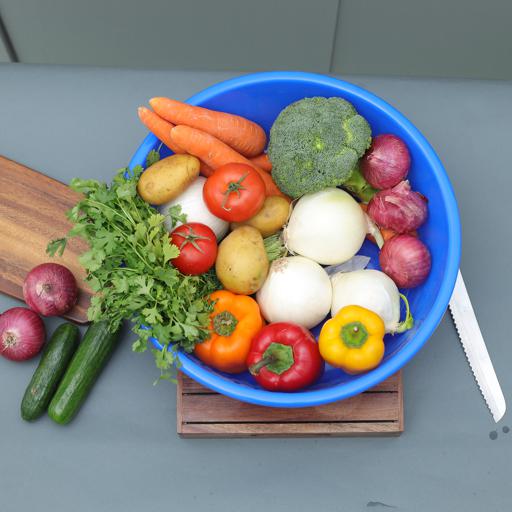 Royalford RF10706 Plastic Basin, 6L Rolled Rim Wash Tub