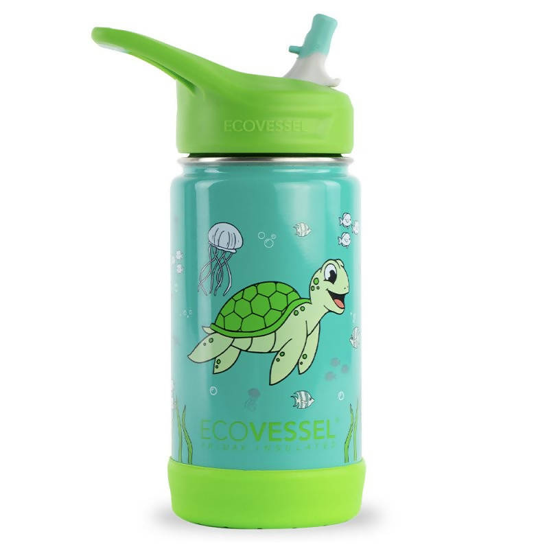 Frost Insulated Water Bottle With Straw