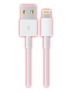 NYORK 12V IOS FAST CHARGER WITH LIGHTNING CABLE WHITE NYH-211