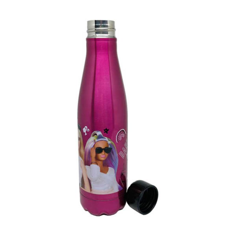 Barbie Stainless Water Bottle in Color Box | School Supplies | Halabh.com