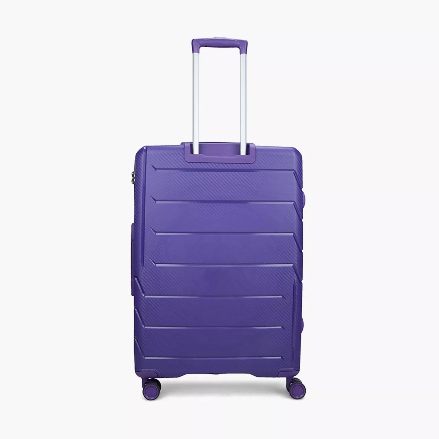 Carlton Chroma Active Hard Side Luggage | Trolley Bags | Halabh.com