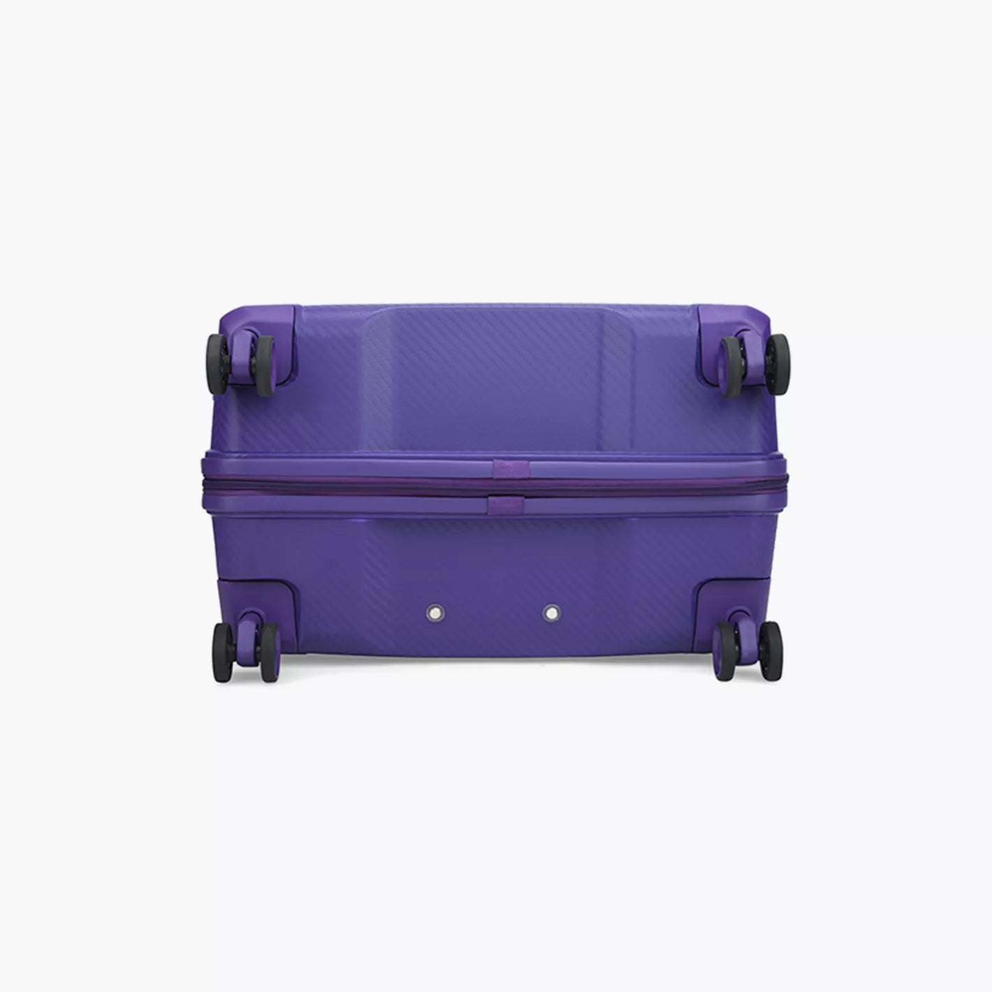 Carlton Chroma Active Hard Side Luggage | Trolley Bags | Halabh.com