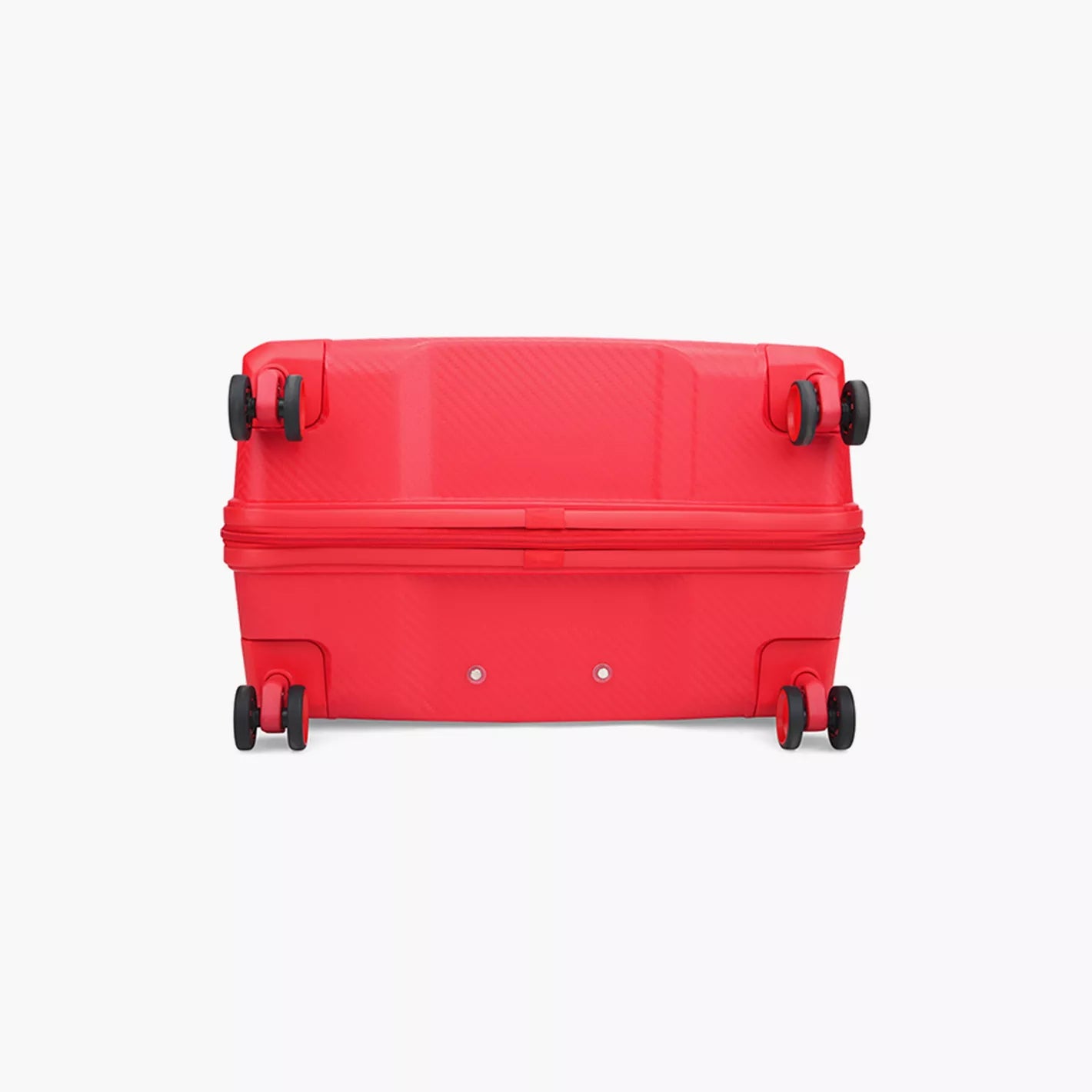 Carlton Chroma Active Hard Side Luggage | Trolley Bags | Halabh.com