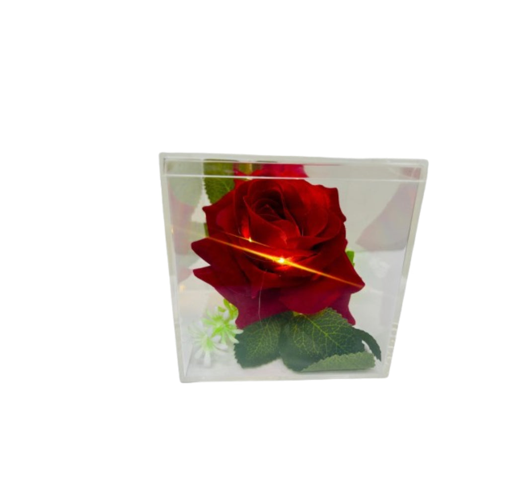 Enchanted Glow Rose Display | Best Glow Rose Display in Bahrain | Halabh.com