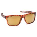 Fastrack Brown Wayfarer Sunglasses | Personal Care | Halabh.com