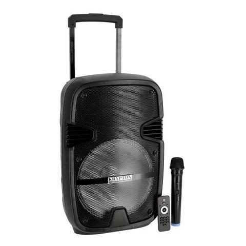 Krypton KNMS5035 Portable Rechargeable Bluetooth Speaker with Remote & Mic