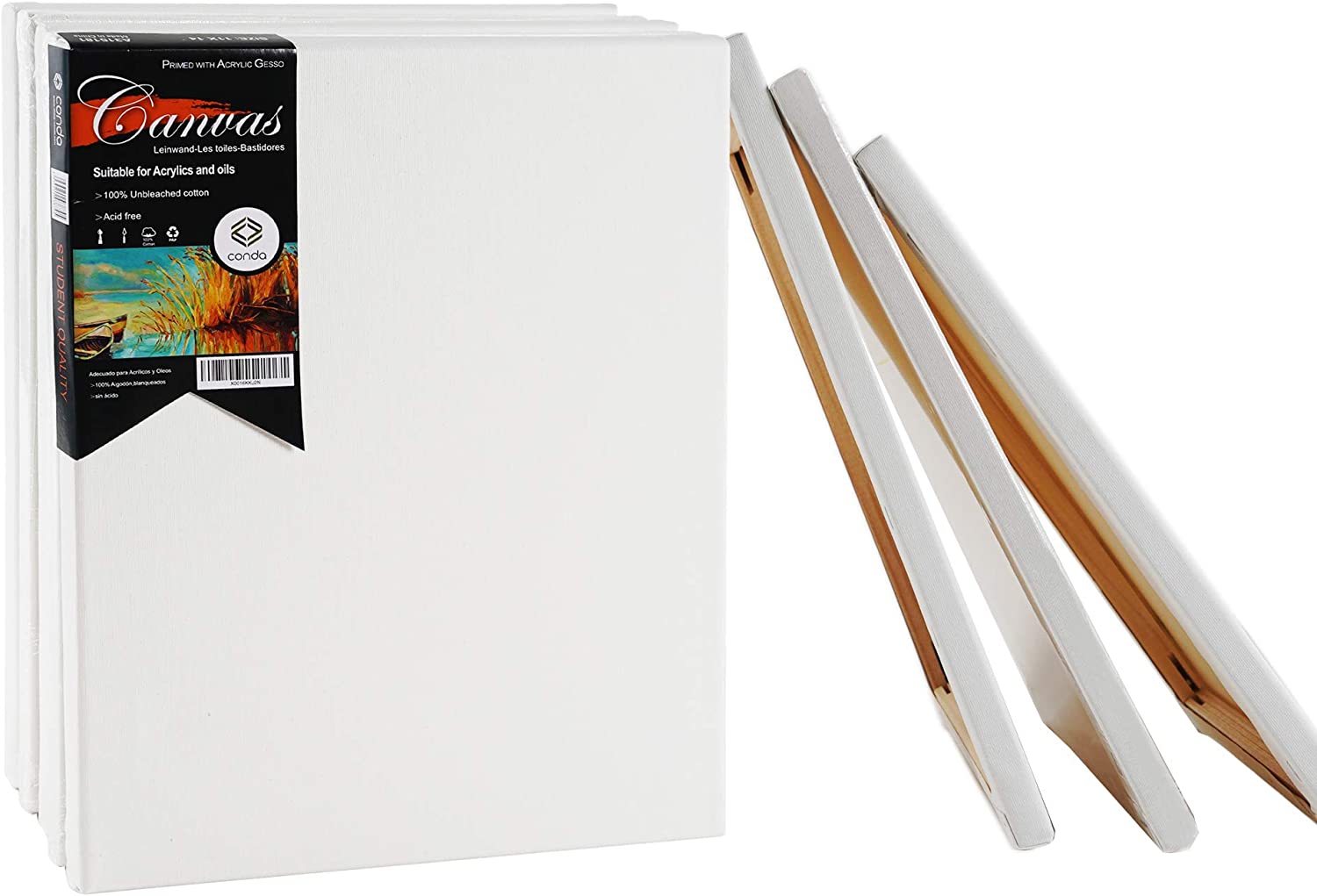 Conda Stretched Professional Canvas Size 30 x 60 cm