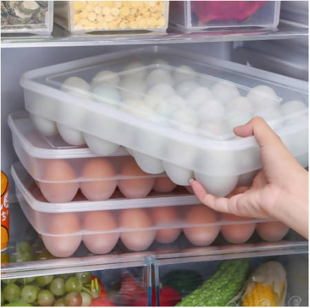 Organized Egg Storage 34-Grid Egg Tray Holder | Kitchen Appliance | Halabh.com