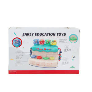 Early Education Toy