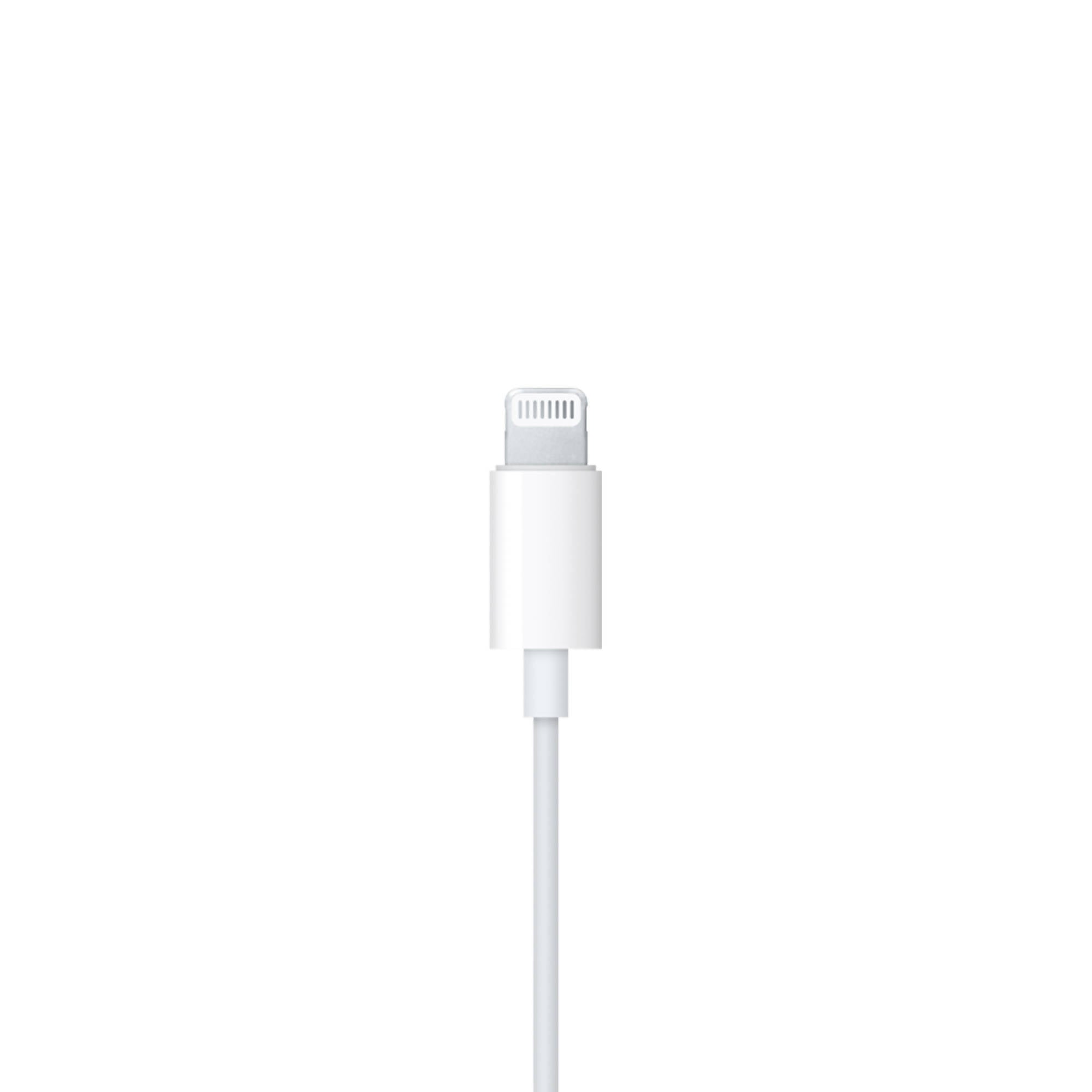 Apple Generic Headphone With Lightning Connector White