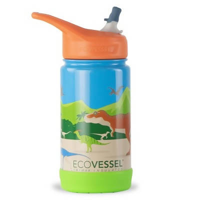 Ecovessel Insulated Stainless Steel Kids Water Bottle with Straw