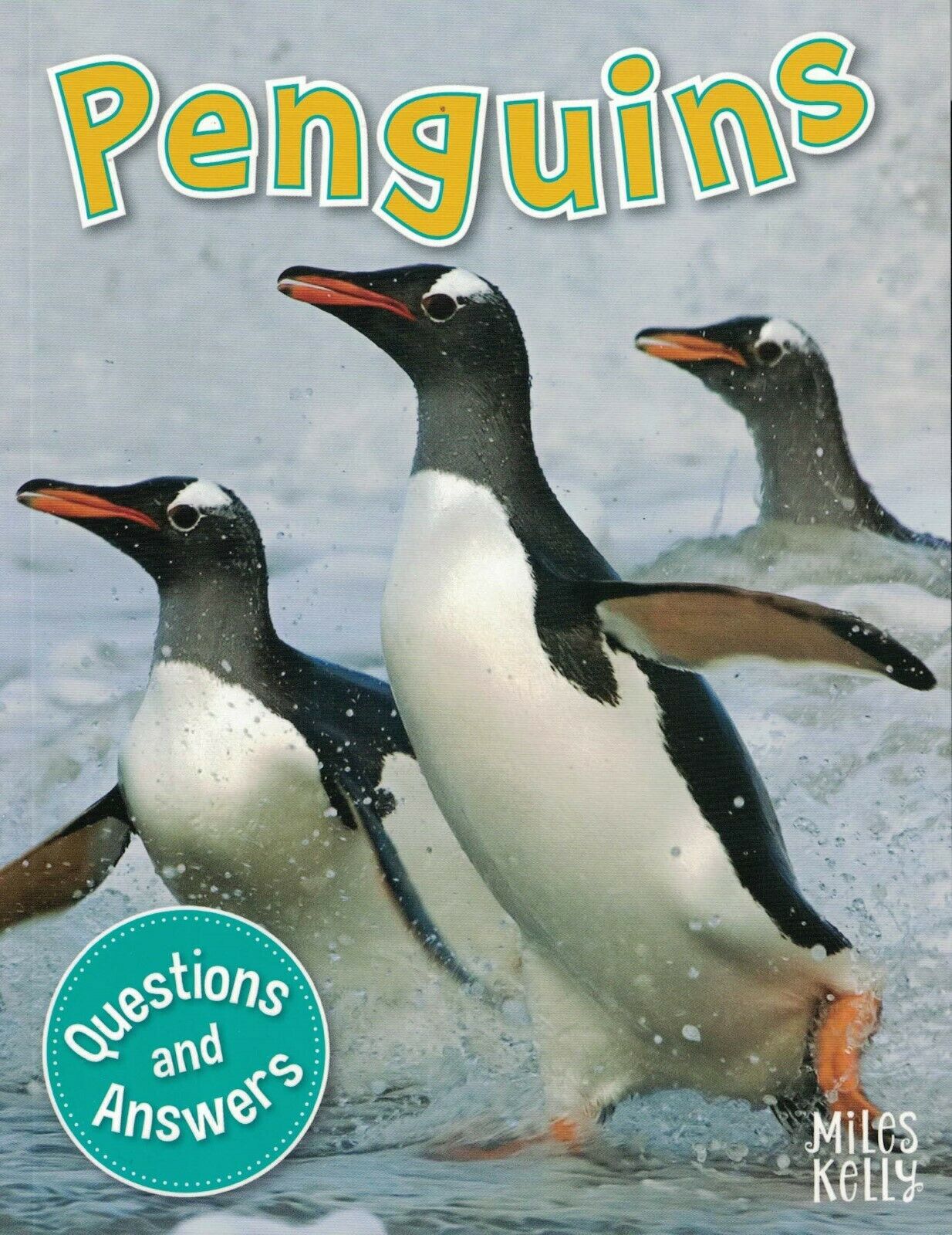 My Q & A Library 16 Penguins