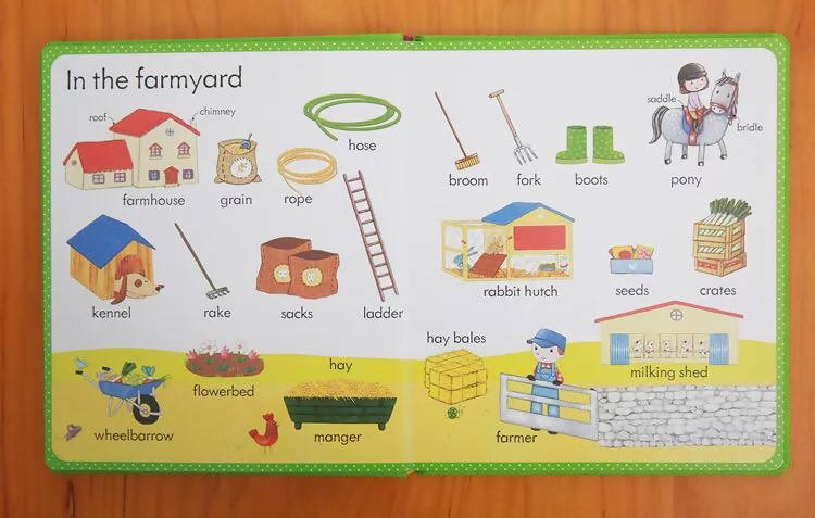 English Picture Board Book My First Word Book on The Farm English Dictionary