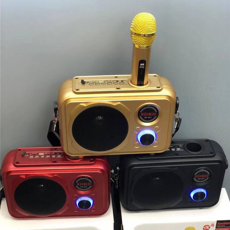 Portable Bluetooth Speaker with Wireless MIC